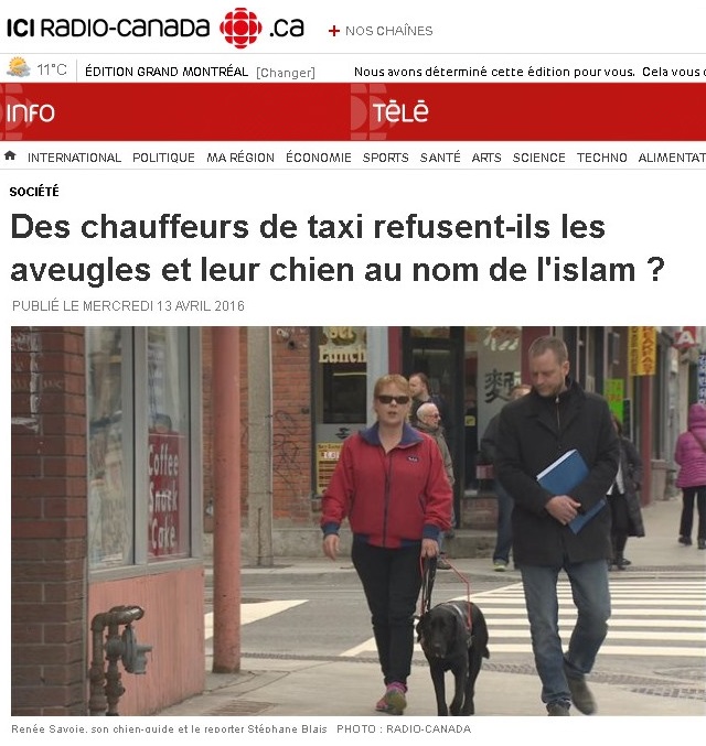 Chien-guide