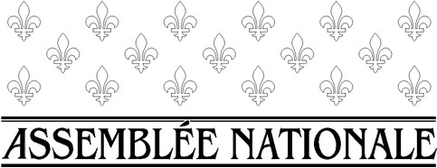Assemblee nationale logo
